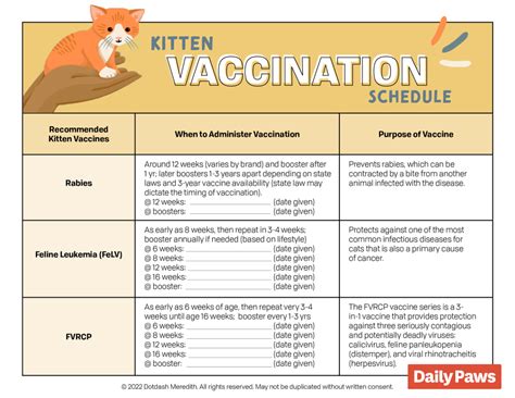 kitten vaccine package and fecal test|In order to keep your kitten healthy, there are certain actions .